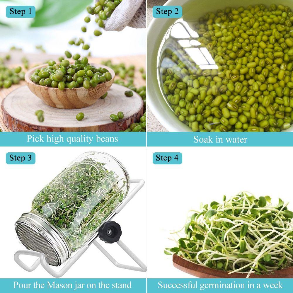 NICKOLAS1 Sprouting Lid Planters Mesh Screen Saringan Stainless Steel Nampan Pembibitan