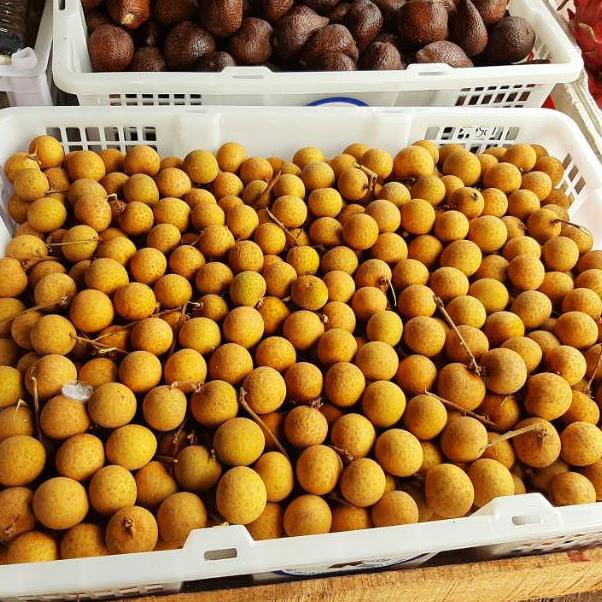 

MEN SALE Kelengkeng bangkok super manis