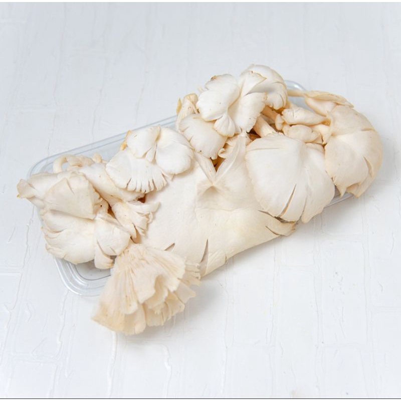

Jamur Tiram Pack 250 gr