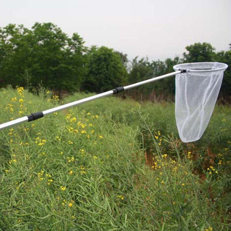 Mary Mainan Observasi Jaring Perangkap Penangkap Serangga Anak-Anak Untuk Teleskopis Kedalaman Jaring w/19 ''Ha
