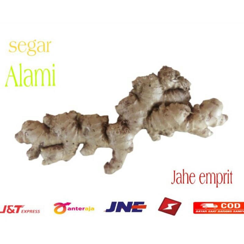 

jahe emprit 250 gram