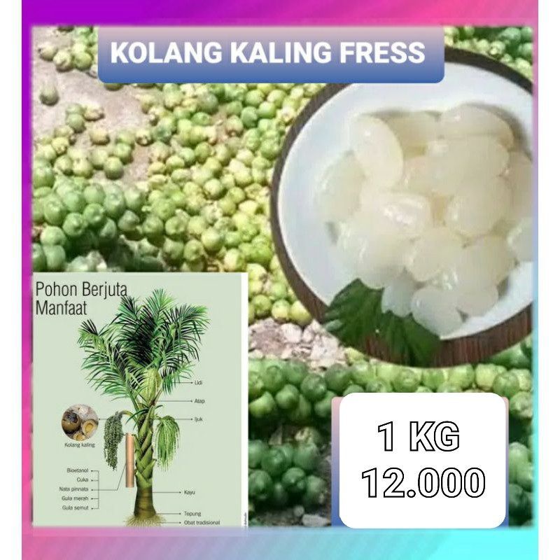 

Kolang kaling super istimewa...