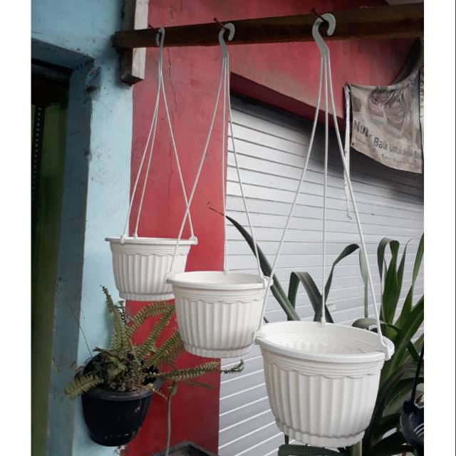  Pot  gantung  pumba uk 20 warna  putih  Shopee Indonesia