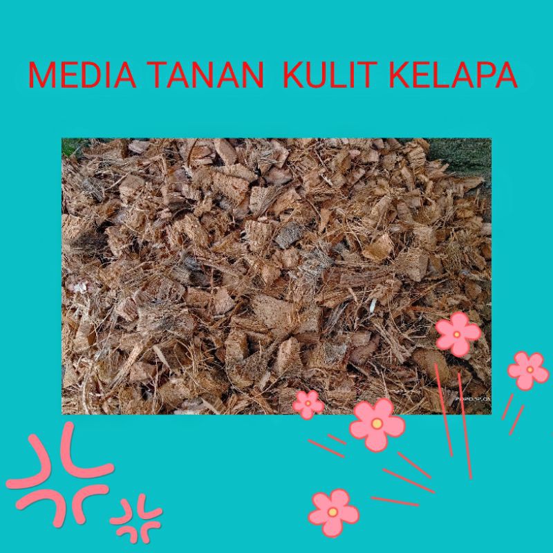 Media tanam sabut kelapa
