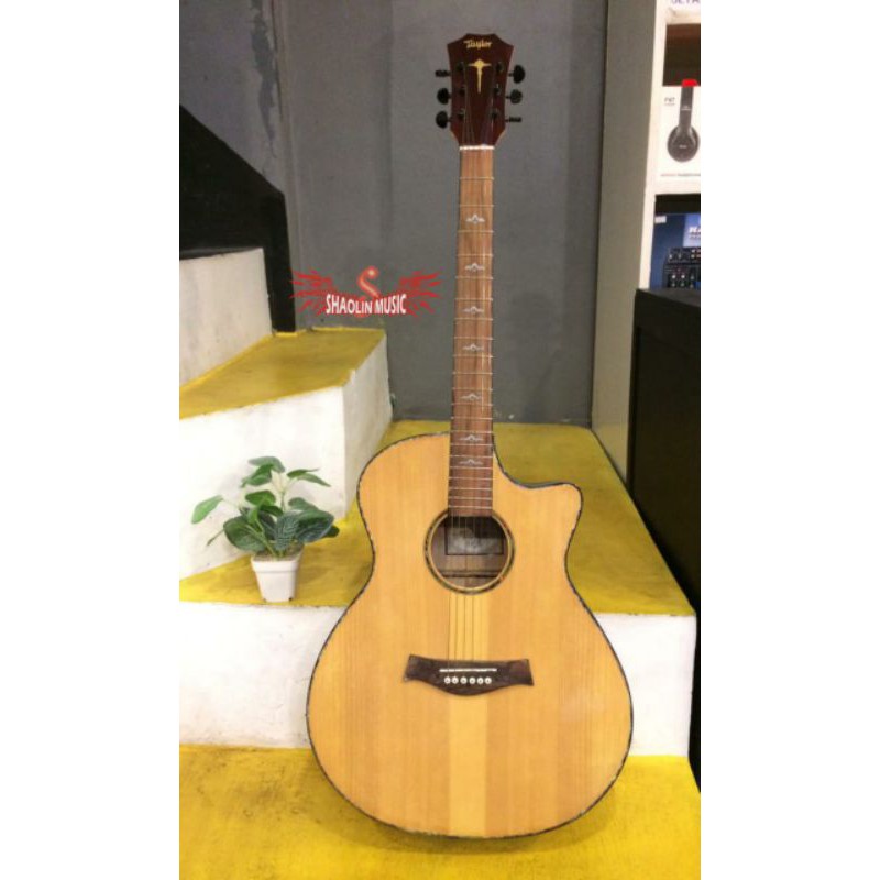 Gitar Taylor Akustik