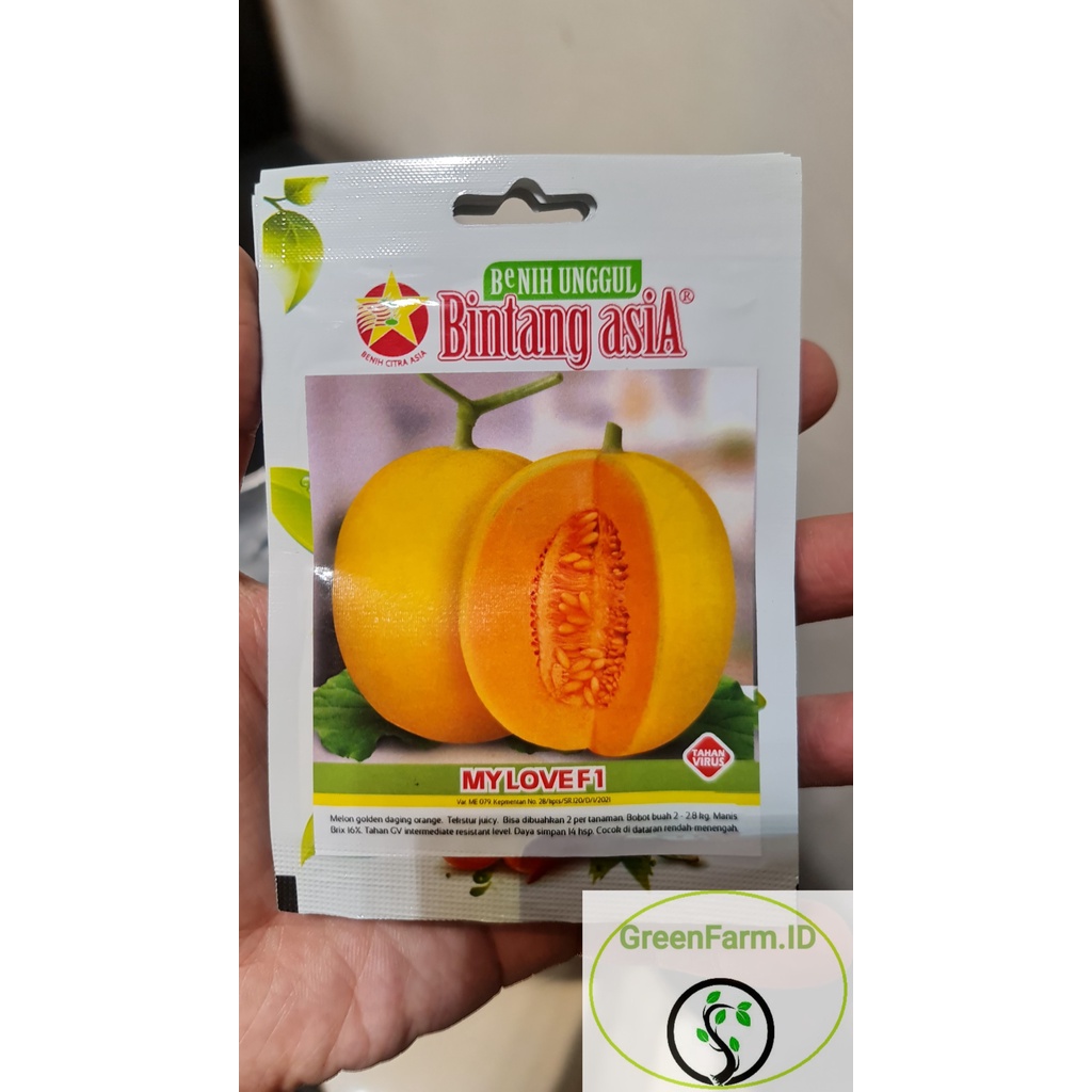 Benih melon golden MY LOVE F1 1 gram