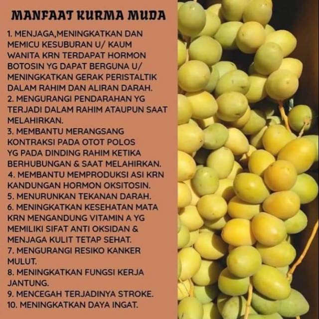 Program Kehamilan Kurma Muda Indonesia