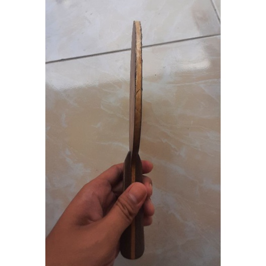 stiga dynasty carbon