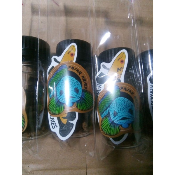 PELET JAHAT FAJAR ARIEF Original free sticker channa chana Maru untuk varian red dan yellow 10gr