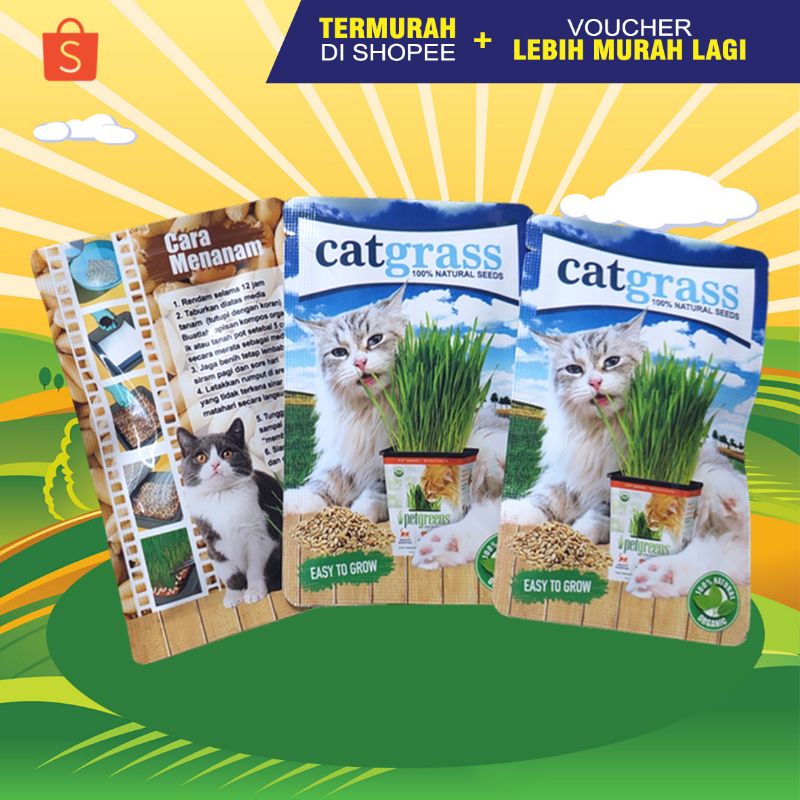 CG SACHET - Benih Catgrass Rumput Kucing Bibit Catgrass Anti Muntah Bulu Makanan Kucing Sehat Wheatgrass