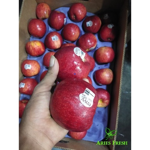 

Apel ENVY 1 kilo - ENVY JUMBO Apple Premium Import