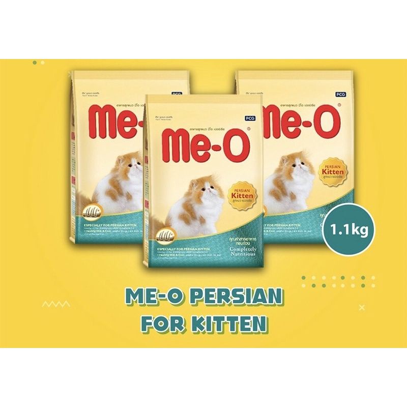 meo kitten persian 1.1kg