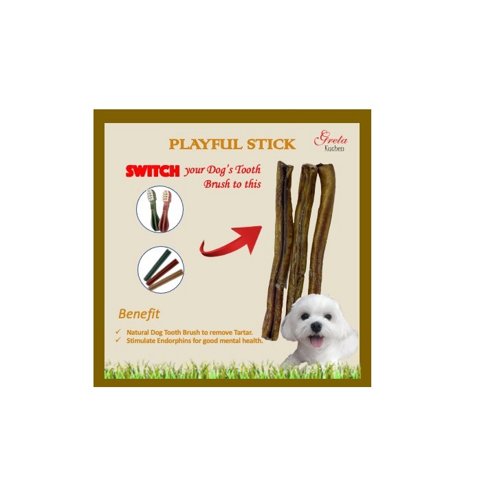 Snack Anjing Greta Playful Stick / Penghilang Karang Gigi Anjing