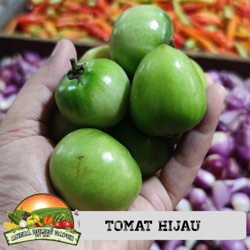 

tomat hijau