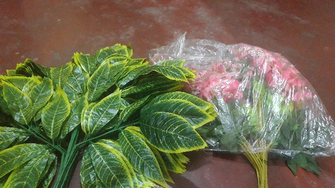 Wanflower Daun Mangga X5 * Hijau Lis Kuning (perlusin)