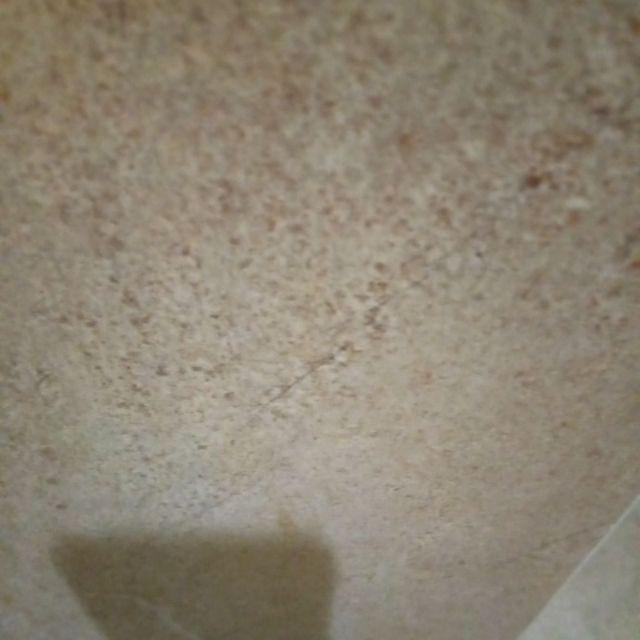 Paket 2pcs Nampan Alas Tray + 2pcs Tray Semai 128 Lubang