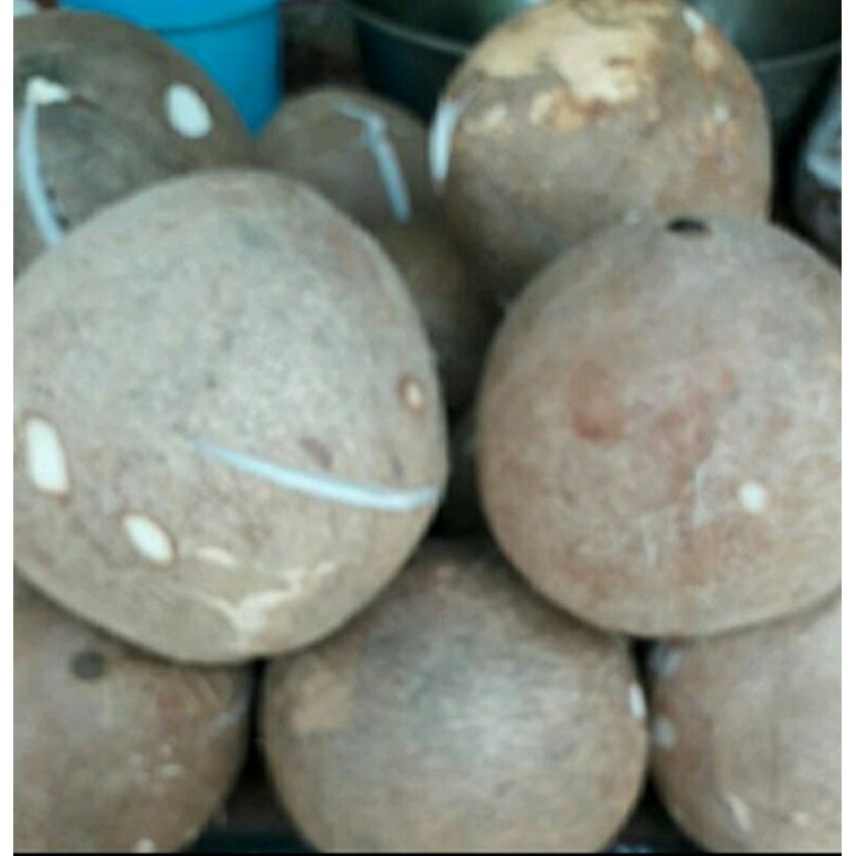 

kelapa parut / 1biji