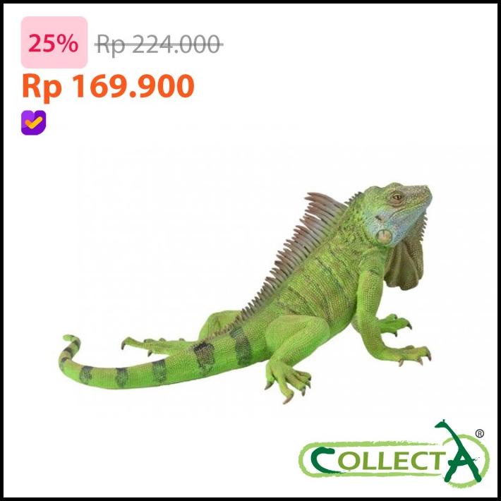 CollectA 88965 - Iguana - Animal Figure