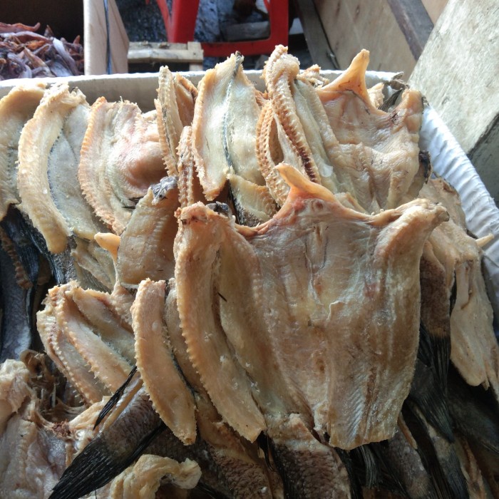 

(DISKON TERMURAH) gabus sedang