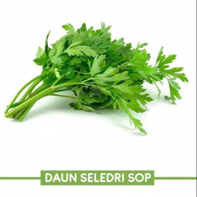 Daun Seledri Sop Pack / Per ikat kecil