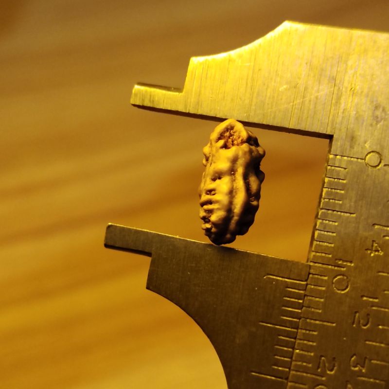 rudraksha ek mukhi 1 original 11 mm