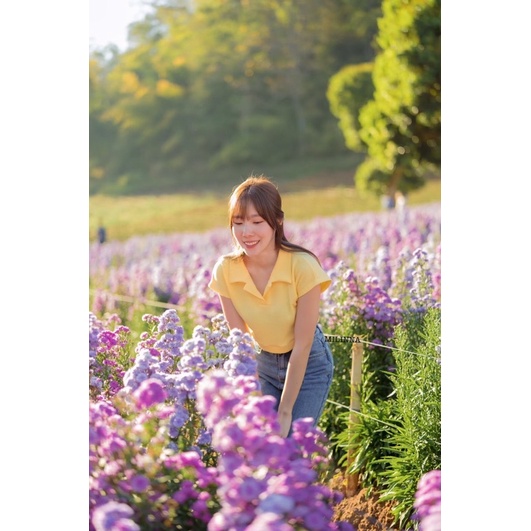 ATASAN MILINNA CROP MODEL KERAH IMPORT BANGKOK (BJMLN288)