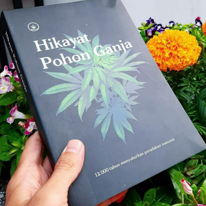 hikayat pohon ganja