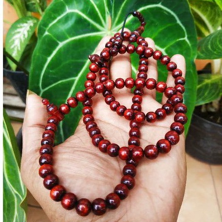 Tasbih 99 muslim/ ,tasbih akar bahar/ ,tasbih akar bahar merah tembus cahaya/, tasbih bahar merah,/ 