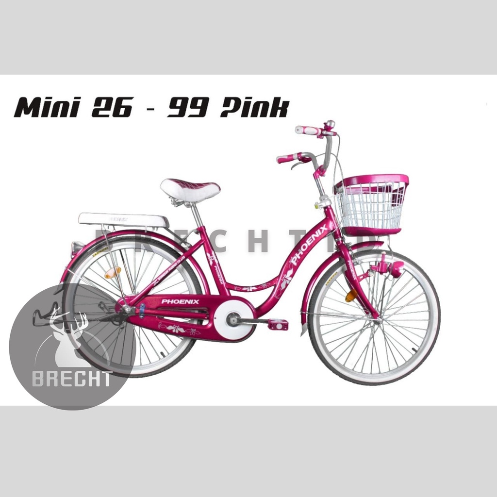 Sepeda Dewas dan Remaja CTB CityBike Phoenix Mini 26-99