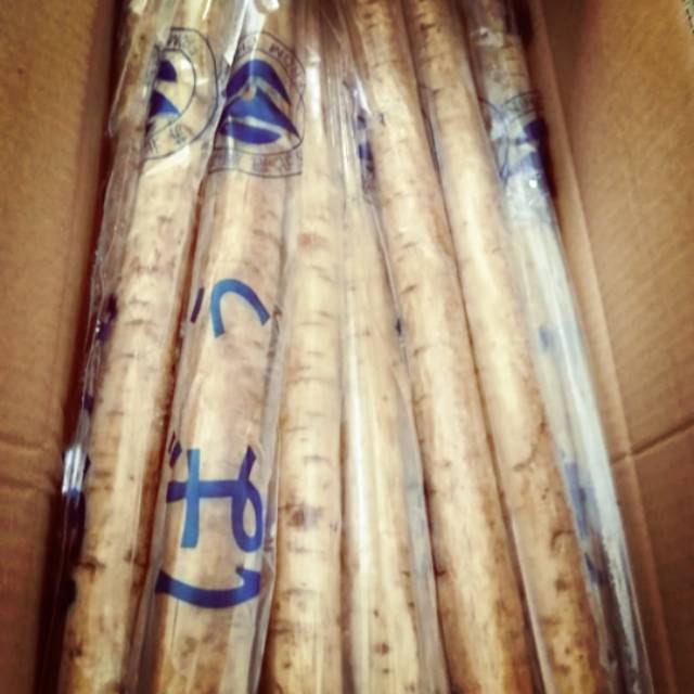 

Akar gobo/burdock root