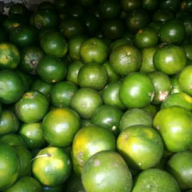 

JERUK PERAS SEGAR