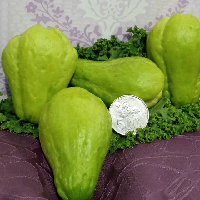 

Labu siam baby 500gr