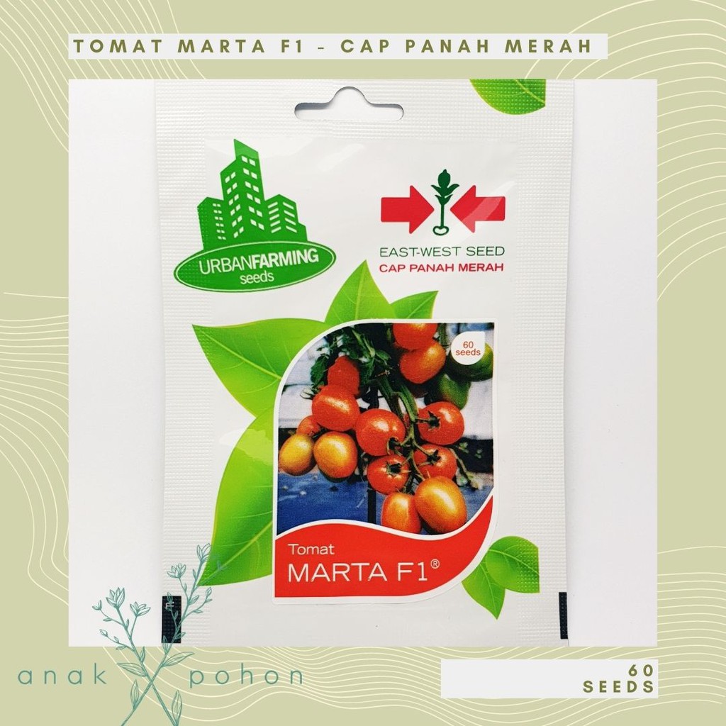 ( 1 PACK ) Benih Bibit Biji - Tomat Marta F1 Seeds - Cap Panah Merah