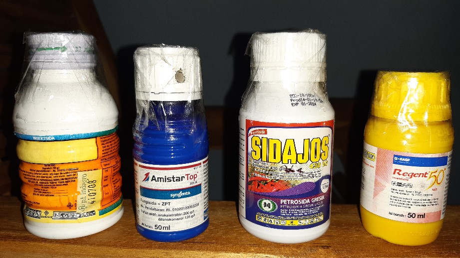 Regent® 50 Sc Red 50ml Insektisida Perlakuan Benih