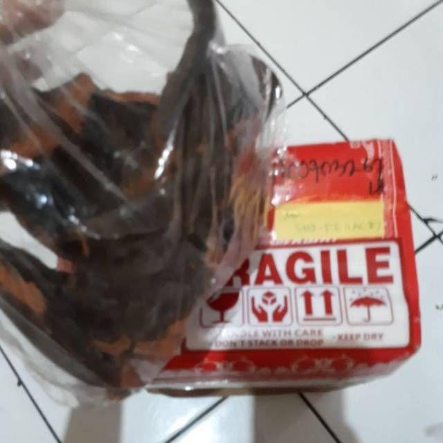 Paket Ratus Bakar Haliy/dupa Ukup