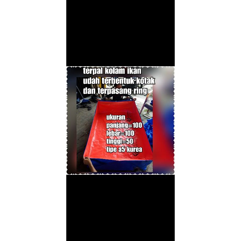 TERPAL  KOLAM  IKAN  ( 100x100x50 ) A5 korea kolam terpal ikan