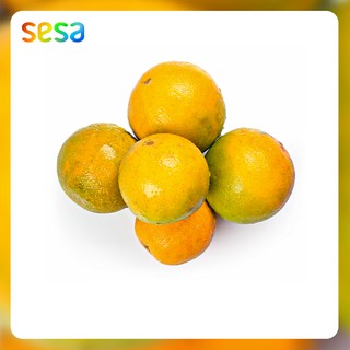 Jeruk Baby Pacitan 1 kg | Shopee Indonesia