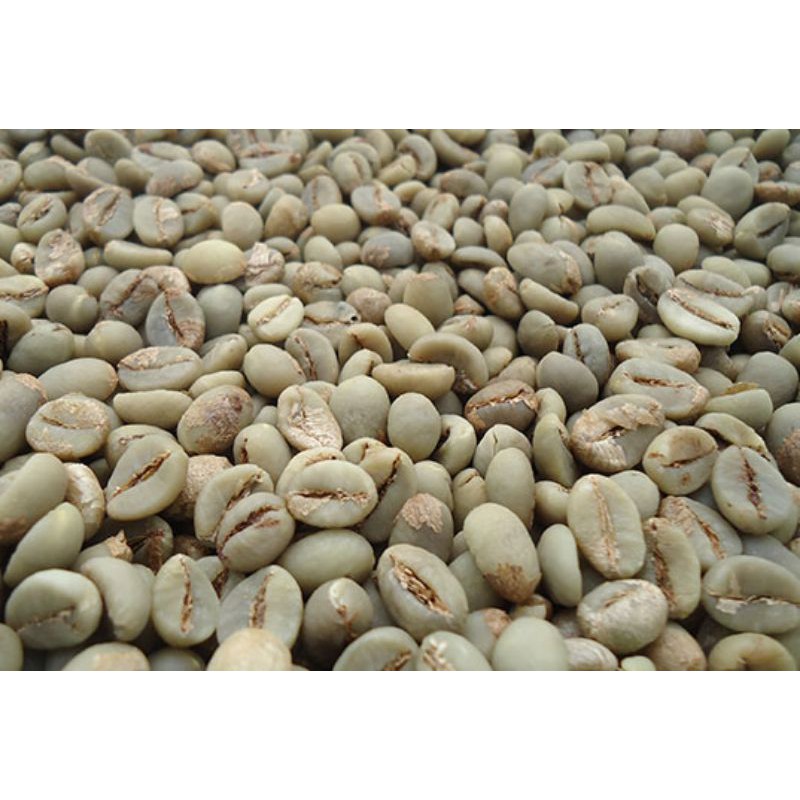 

Grosir Green Bean Coffee - Sumatera- Bengkulu 100% Premium Quality