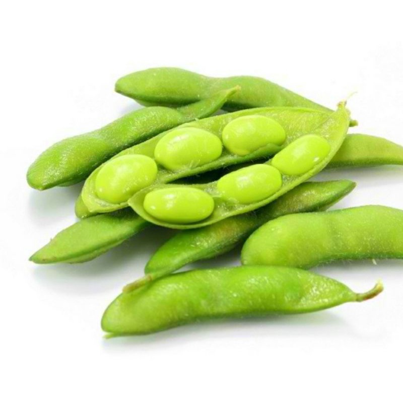 Benih Biji Edamame Kemasan 500 gram