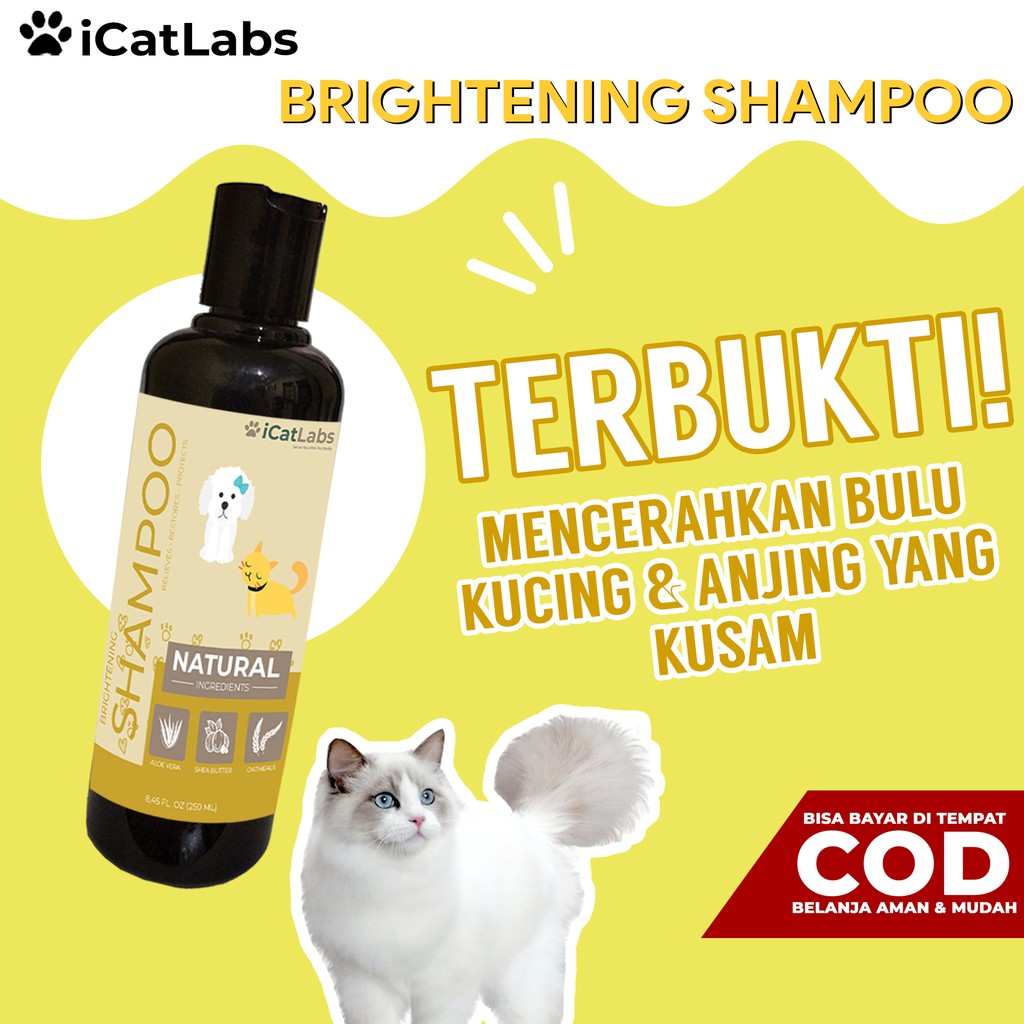 Jual SHAMPOO KUCING & SHAMPOO ANJING BRIGHTENING - CAT FOOD KUCING OBAT