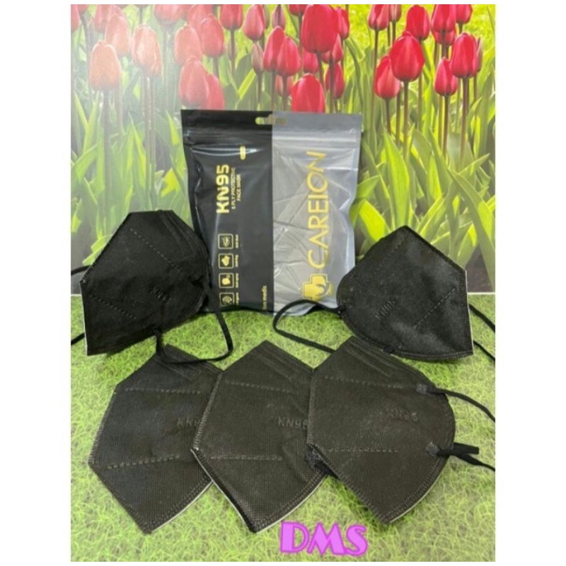 KN95CAREION