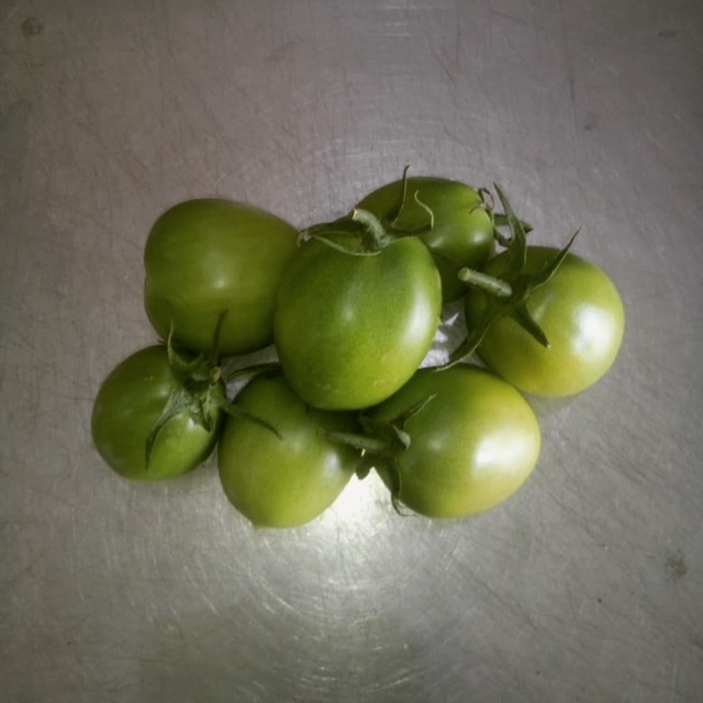 

Tomat sayur hijau
