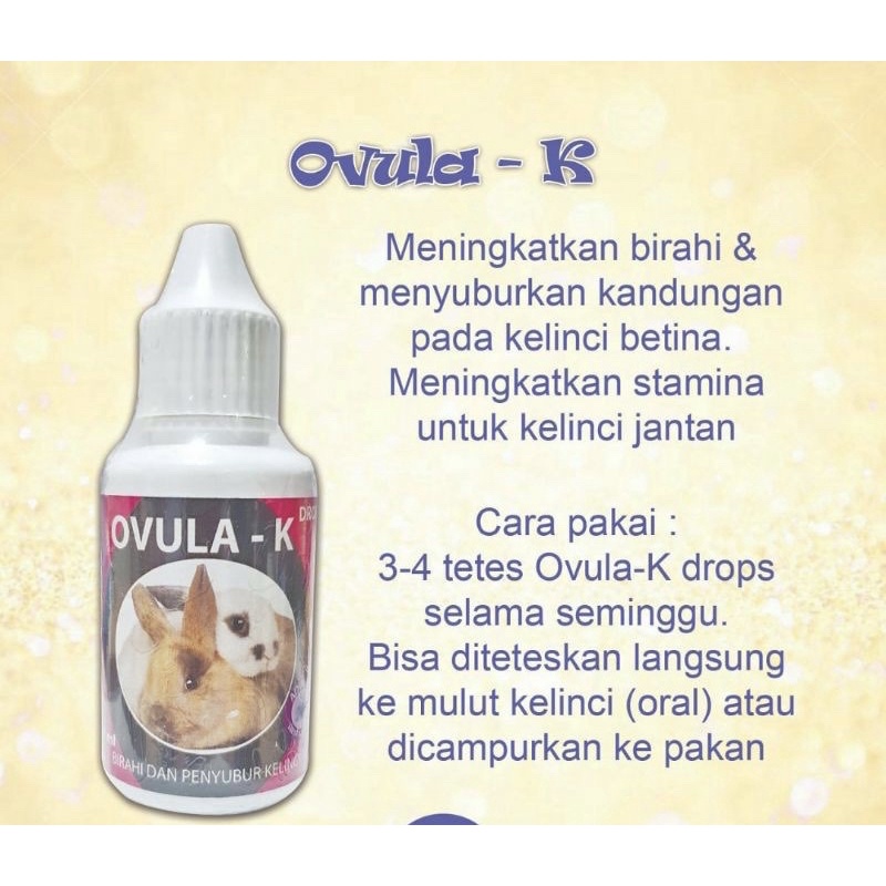 Ovula kelinci ovula-k obat vitamin birahi