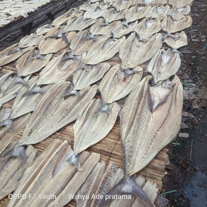 

ikan asin tenggiri utuh ada kepala per 1 kg
