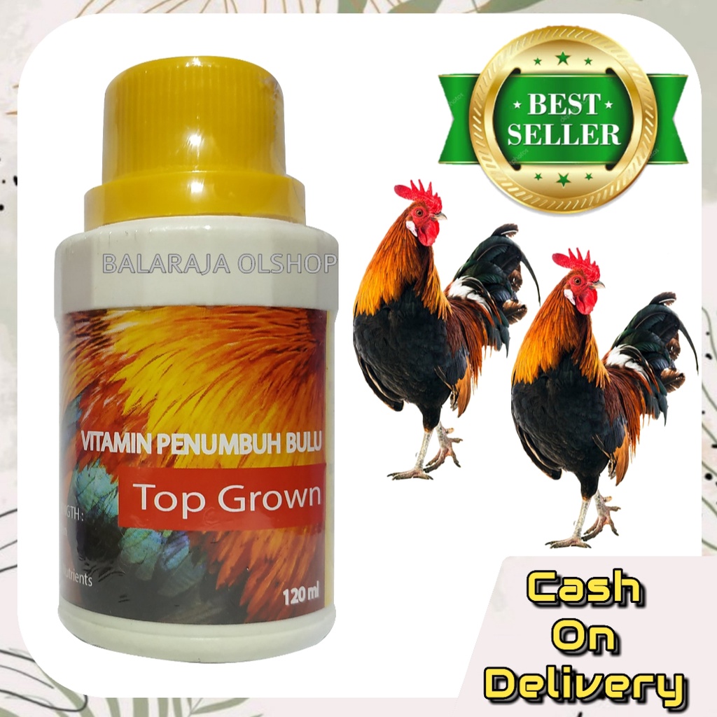 Vitamin Penumbuh Bulu Ayam Jago Bangkok Mabung Ganti Bulu Top Grown 120ML