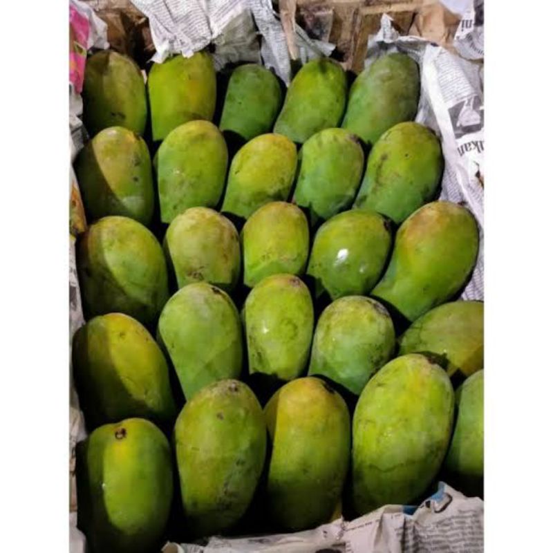 

BSM | TERMURAH Mangga Harum Manis 500gr - 1kg | Sayur online