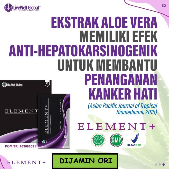 Element Plus / Element + Dijamin Ori
