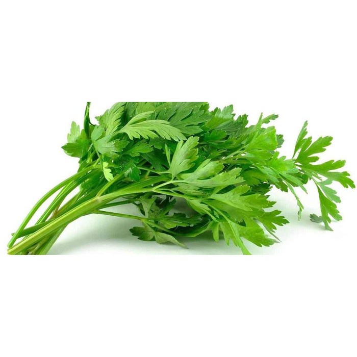 

Daun Seledri 150 gram