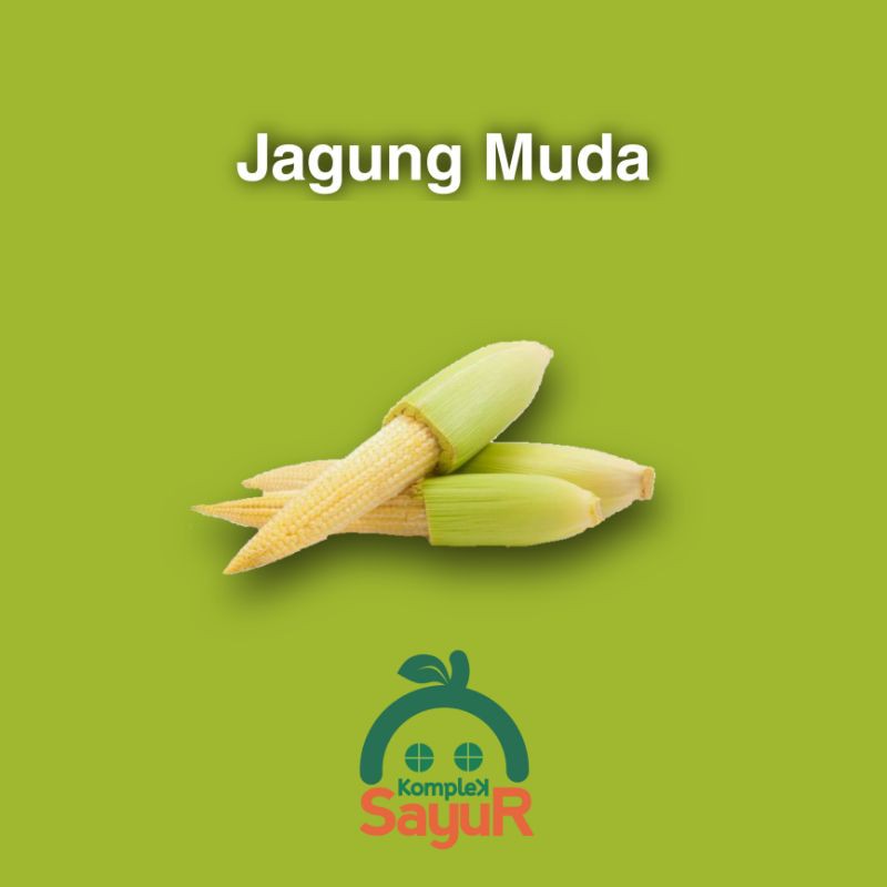 

Sayur Jagung Muda Segar Kualitas Pilihan
