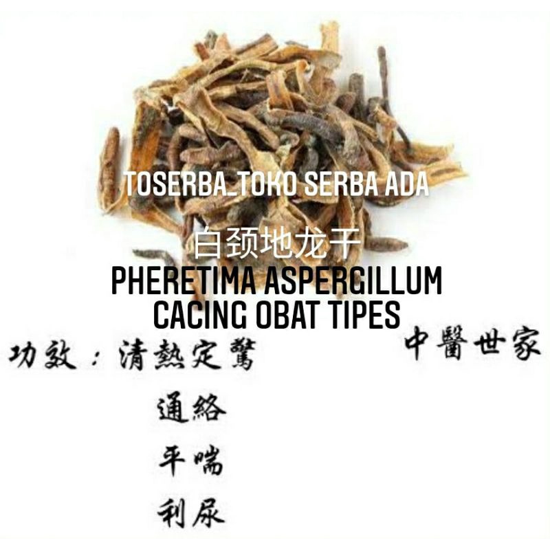 

100gr Herbal Di Long 白颈地龙 Pheretima Aspergillum Grade A